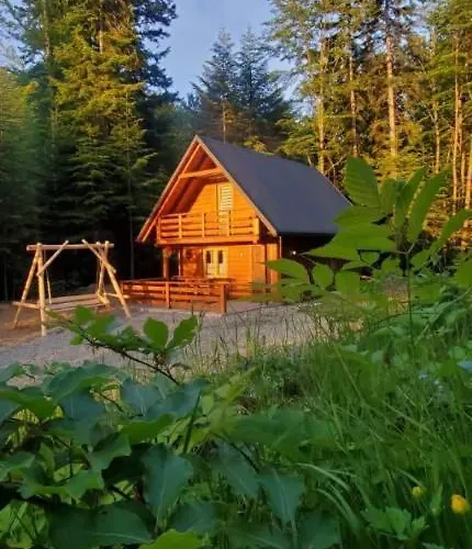 Domek Polana Przyborów